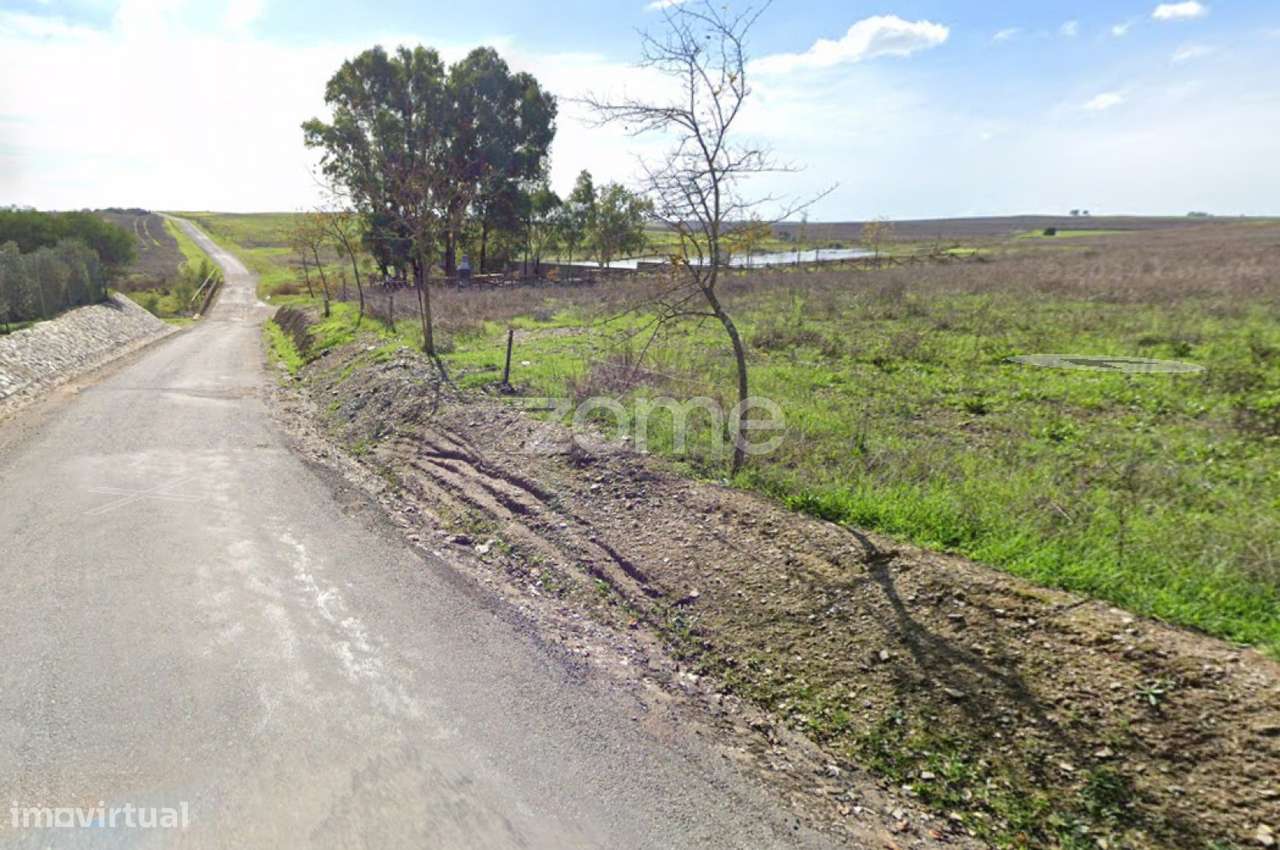 Terreno rustico com pomar - Grande imagem: 3/12