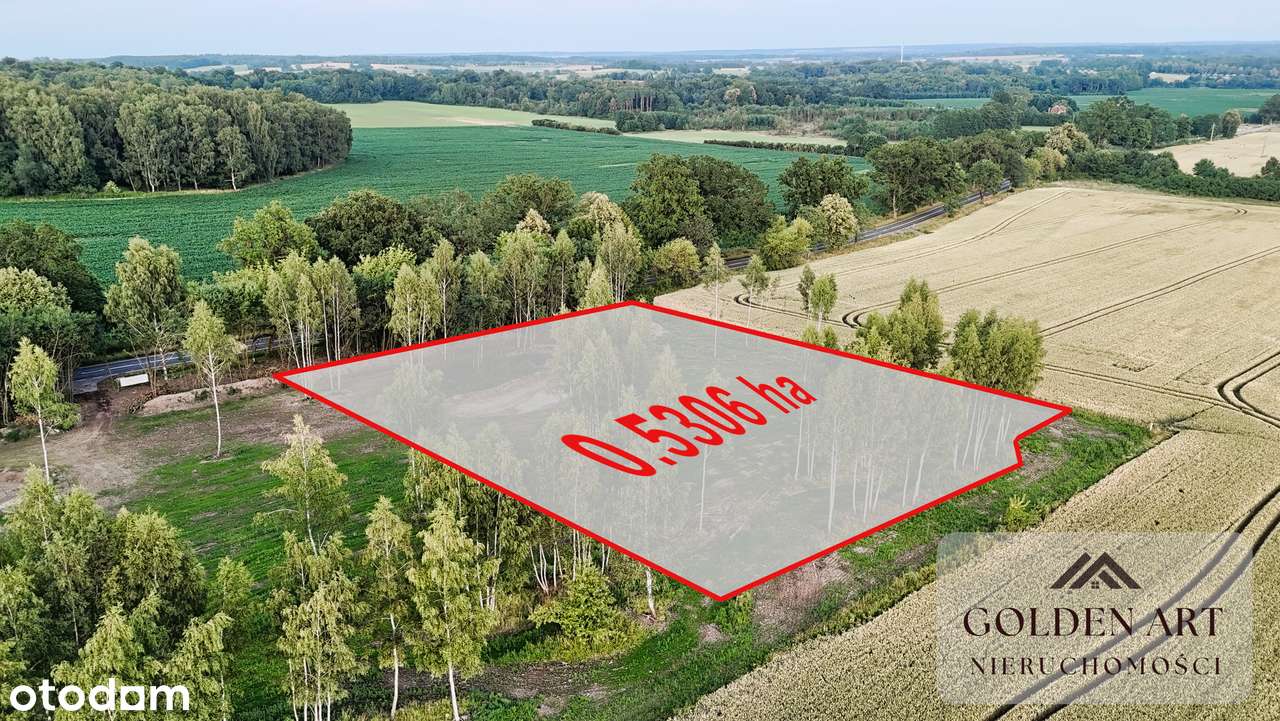 Działka na sprzedaż: Gmina Pasłęk | 5306 m² | WZ | Oczko wodne-4