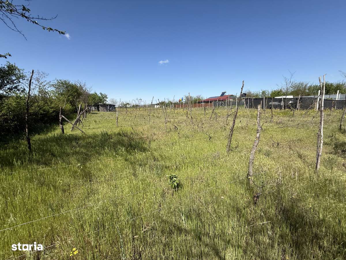 Teren zona Filesti, Galati - Imagine principală: 4/5