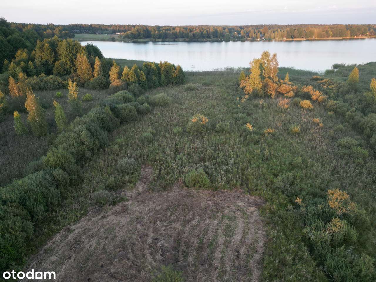 Działka nad wodą - Dalny Las . Jezioro SERWY linia brzegowa . RARYTAS - Pełny obrazek: 5/18