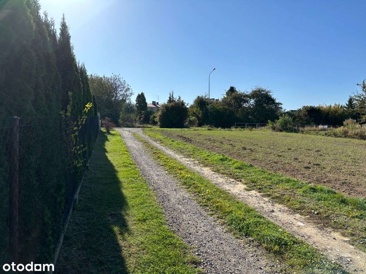 Działka w pierwszej linii zabudowy - Pełny obrazek: 4/16