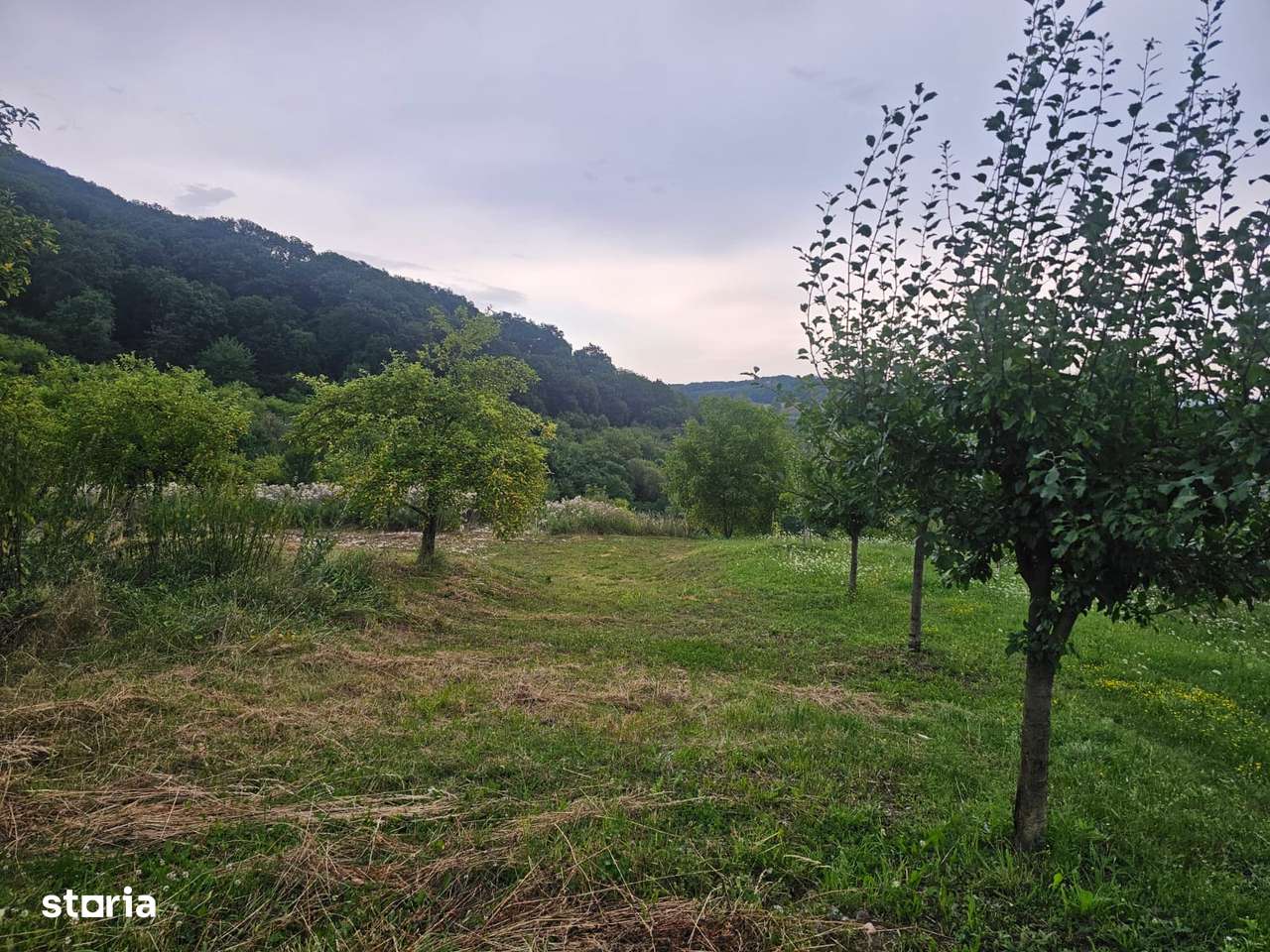 Teren 1.16 ha Valea Rusului – curent, 2 fântâni, căsuță + foișor-7