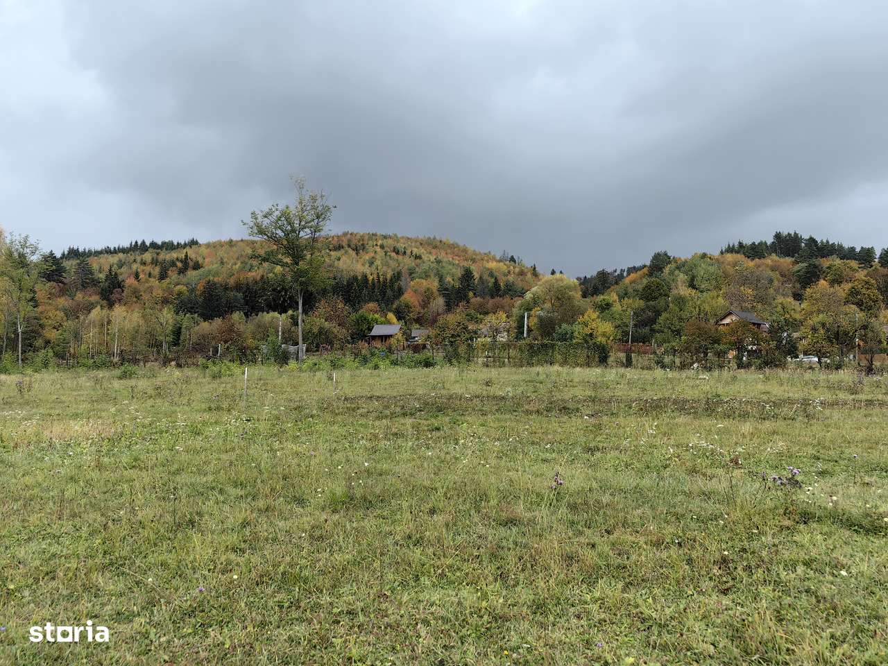 ANUNȚ DE VÂNZARE  - Teren intravilan  Câmpulung /Arges - Imagine principală: 5/5