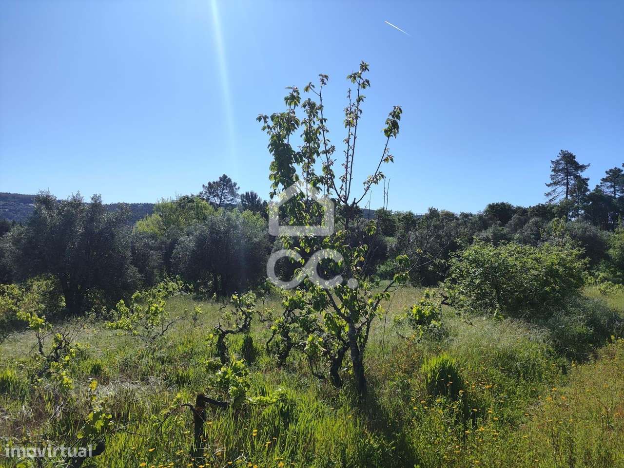 Terreno com 5710 m2 para construção, junto ao IC3, junto de Maçãs de D - Grande imagem: 3/14