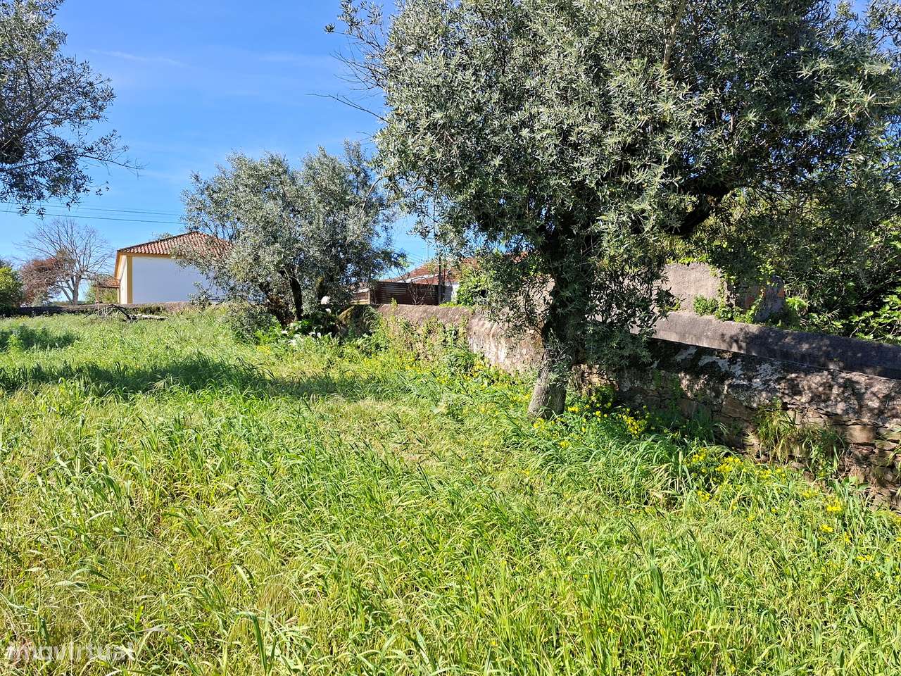 Terreno  Venda em Valhascos,Sardoal-7