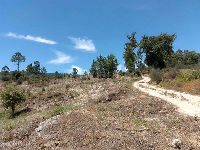 Terreno / Fundão, Vale de Prazeres e Mata da Rainha - Grande imagem: 3/8