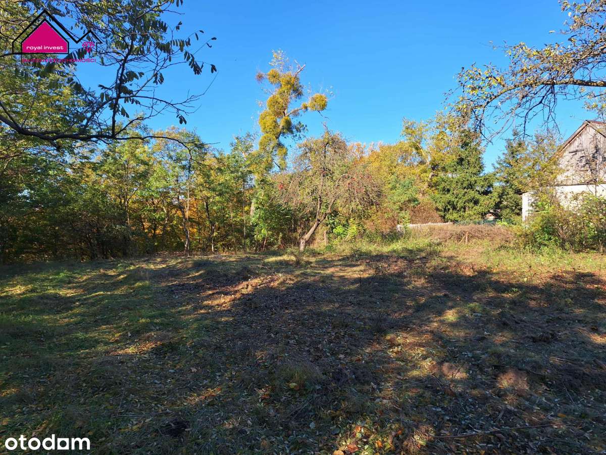 Unikatowa działka dla konesera ciszy i przestrzeni-7