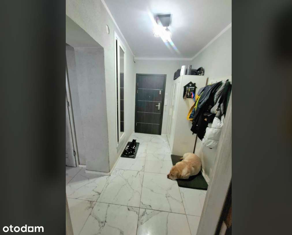 PARTER 65m2! os. Kolorowe-3 pokoje,balkon - Pełny obrazek: 4/7