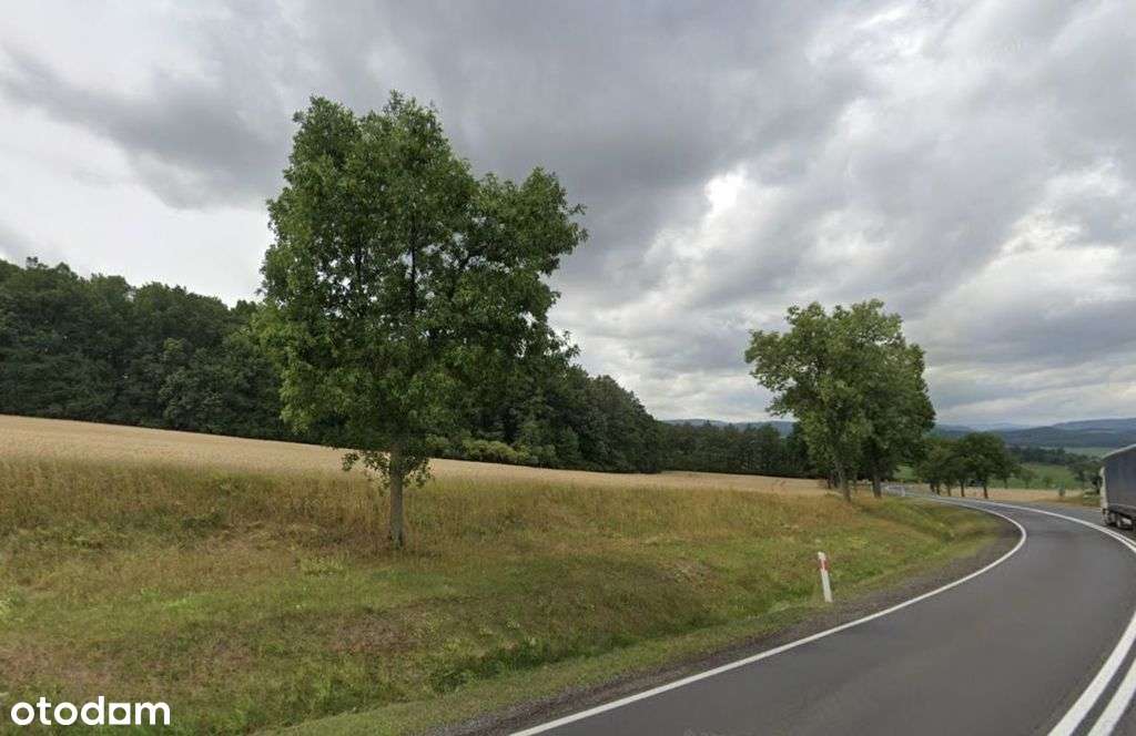 Działka produkcyjno-usługowa Sady Dolne gm.Bolków - Pełny obrazek: 5/7