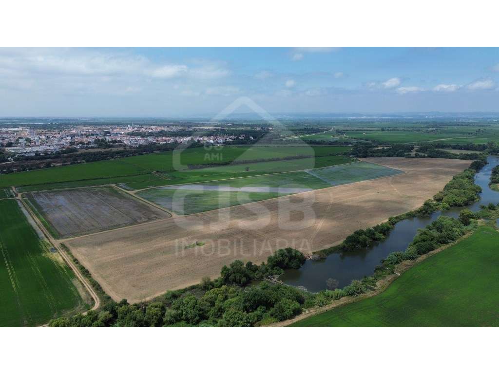 Terreno de 9,5 ha em Benavente-0