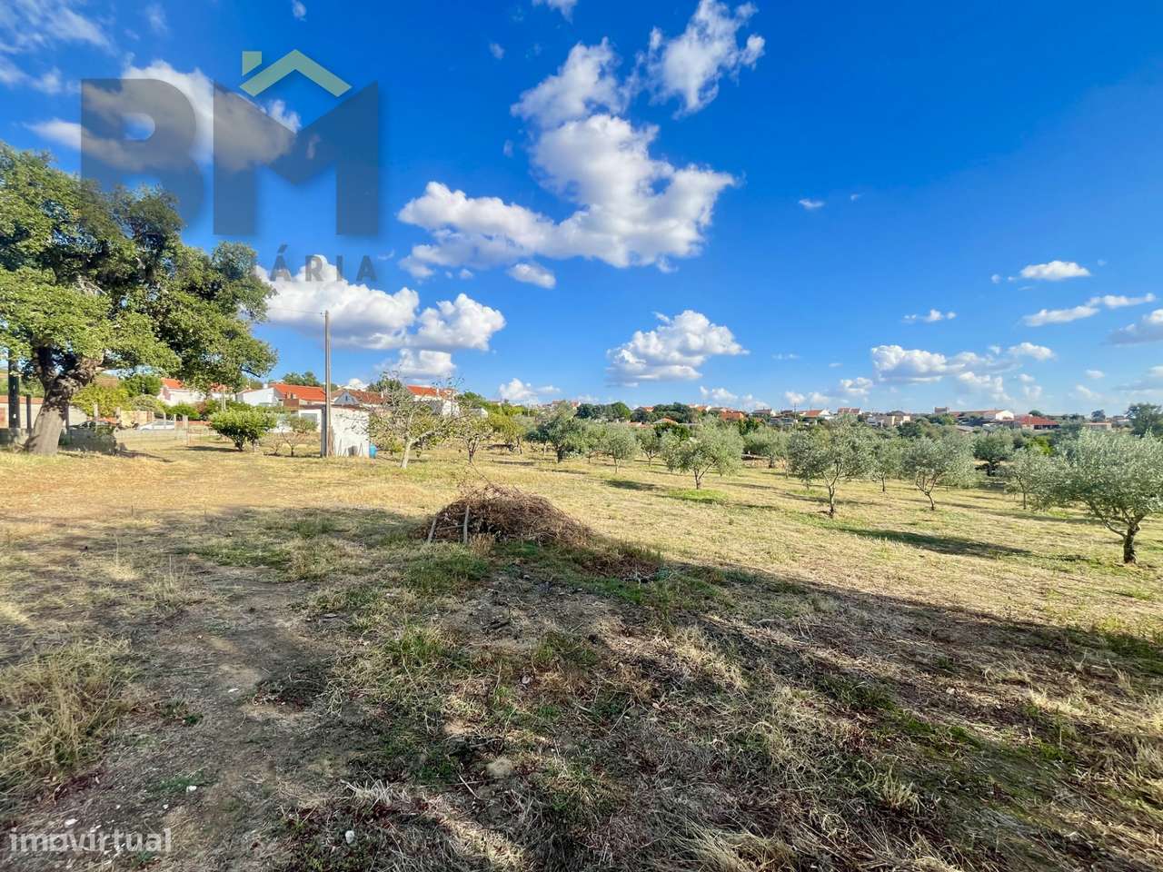 Quintinha  Venda em Cebolais de Cima e Retaxo,Castelo Branco-20