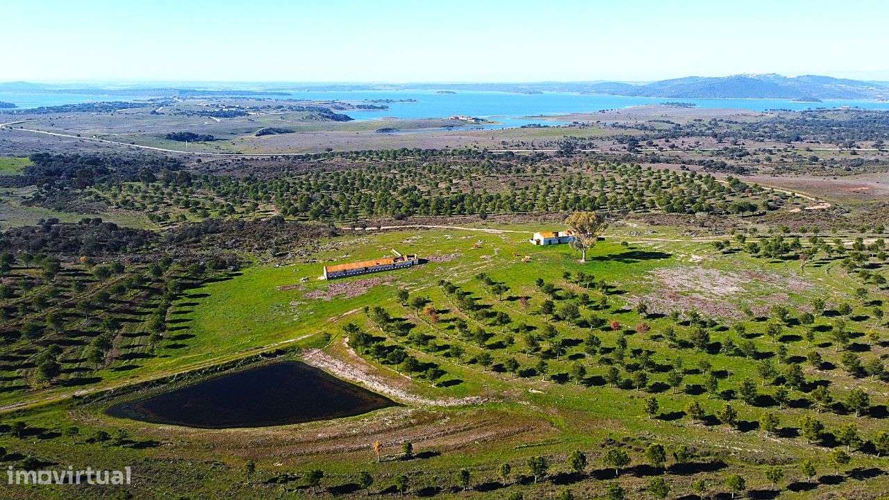 Herdade junto ao Lago de Alqueva - Mourão-8