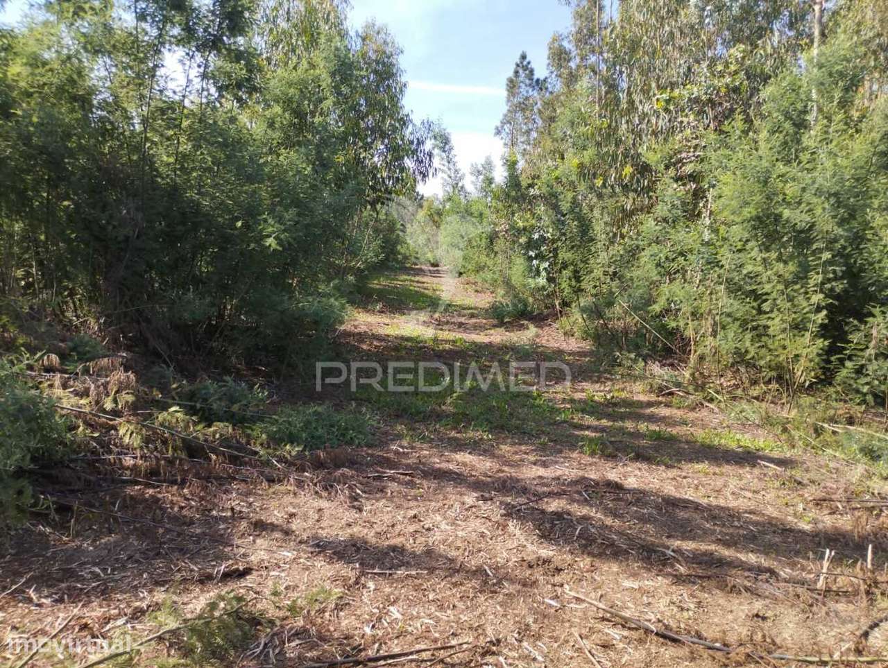 Terreno Urbano em Azurva - Grande imagem: 2/9