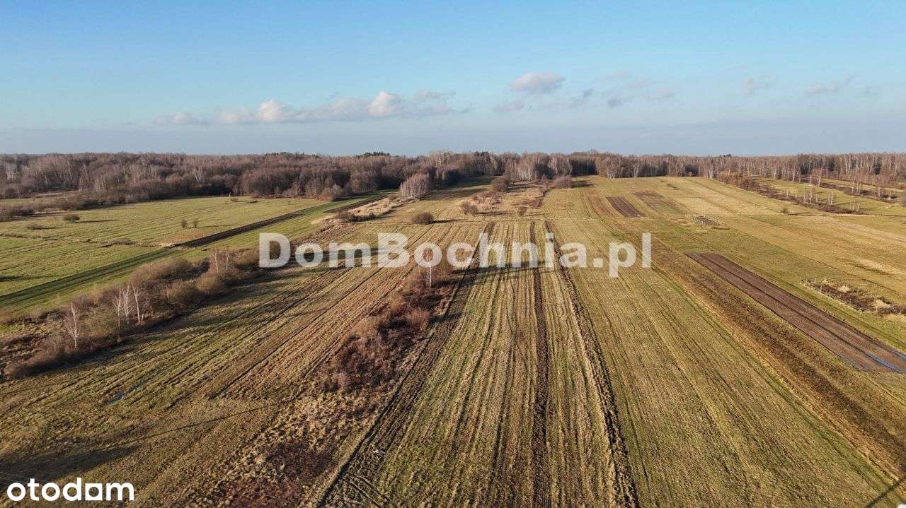 Jodłówka działka budowlana lokata w ziemi-5