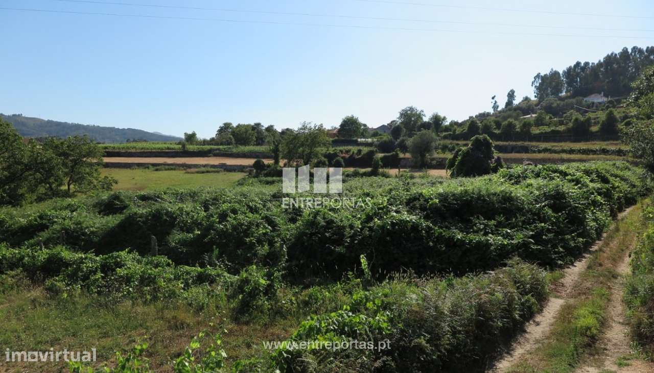Venda de terreno para construção com 2396m², Refoios, Ponte de Lima - Grande imagem: 5/25