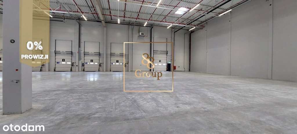 Do wynajęcia magazyn 3000m2 w Ursusie - Pełny obrazek: 3/4