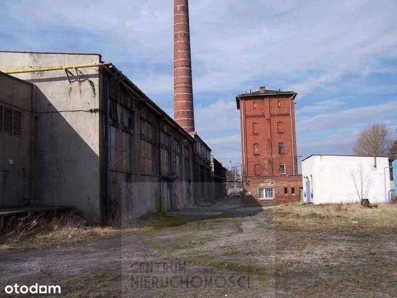 Hale, magazyny i powierzchnie produkcyjne 13000 m2-3