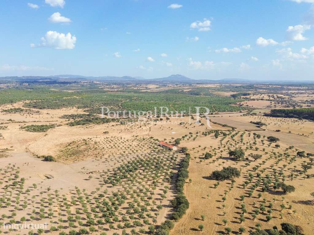 Herdade Agropecuária de 87 hectares em Penamacor - Grande imagem: 4/39