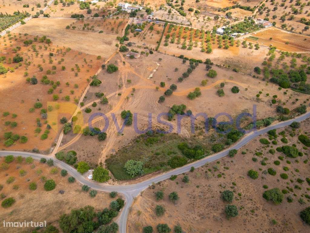 Quinta de 2,1 ha com Potencial para Turismo Rural- Guia Valverde-22