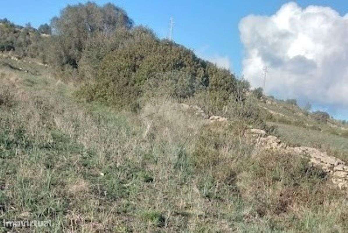 Terreno  para venda - Grande imagem: 2/13