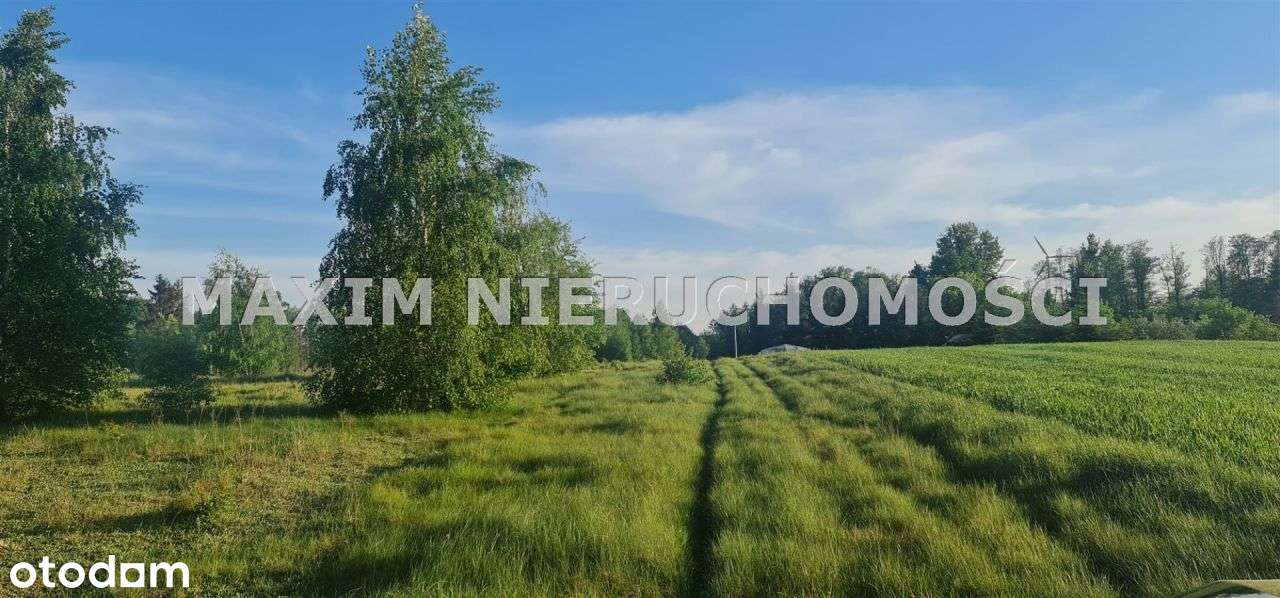 Bardzo ładne działki w Poczerninie gm. Płońsk - Pełny obrazek: 4/16
