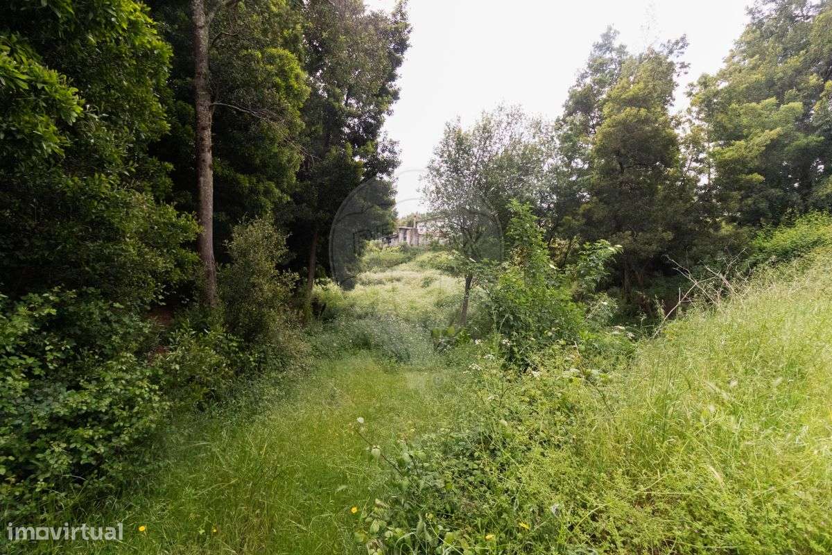 Terreno  para venda - Grande imagem: 5/22