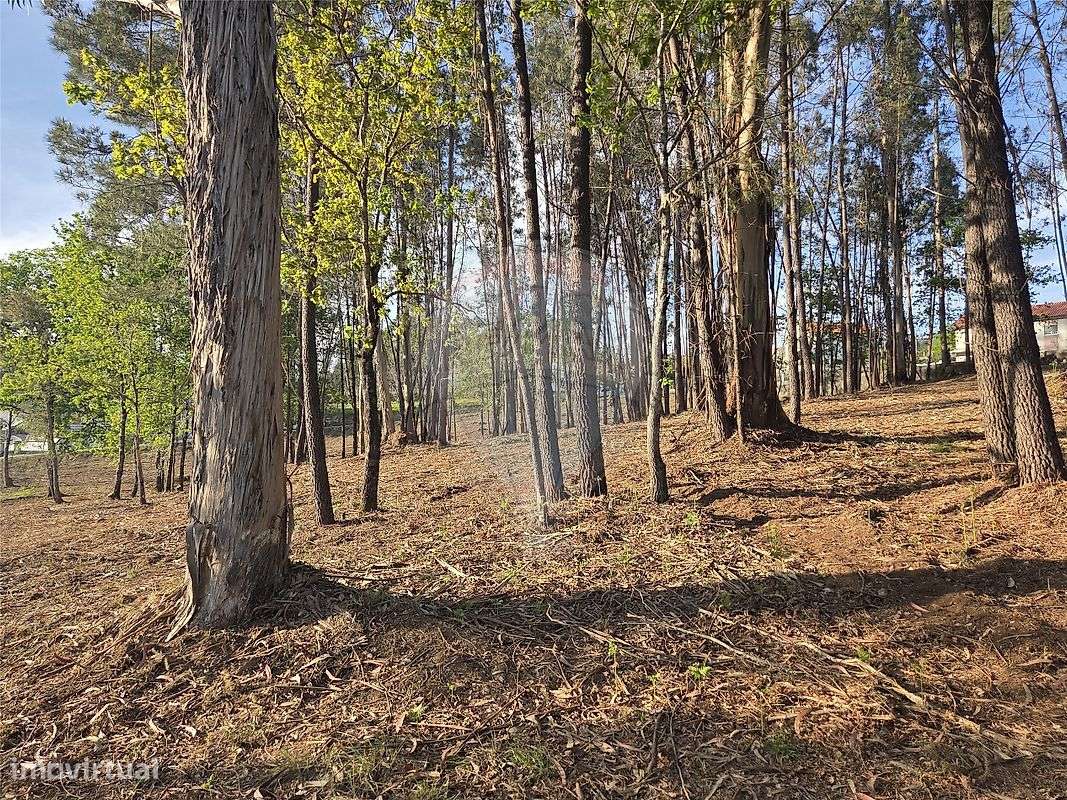 Terreno  para venda - Grande imagem: 5/16