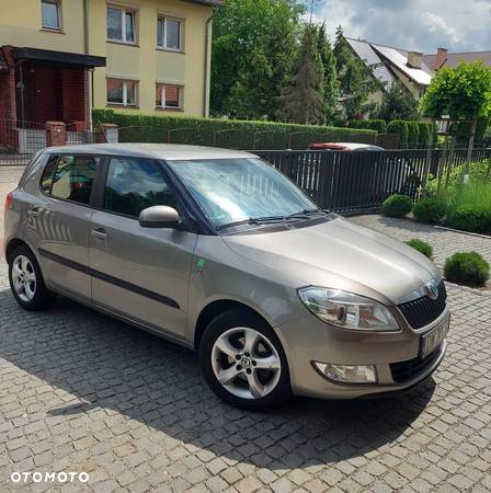 Skoda Fabia 1.2 TDI DPF Greenline - 3