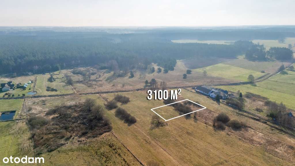 Duża działka 25 min od Szczecina w niskiej cenie. - Pełny obrazek: 4/9