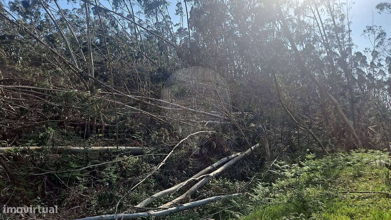 Terreno  para venda - Grande imagem: 2/6