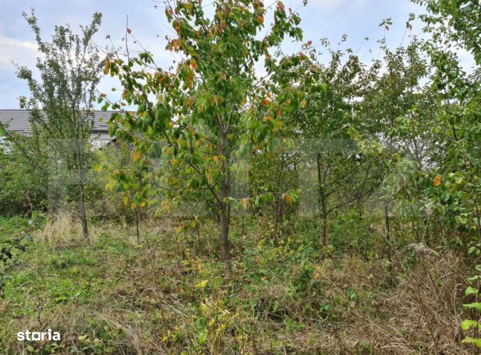 Case individuale, 300mp util,3000mp teren, zona Serbauti - Imagine principală: 5/5