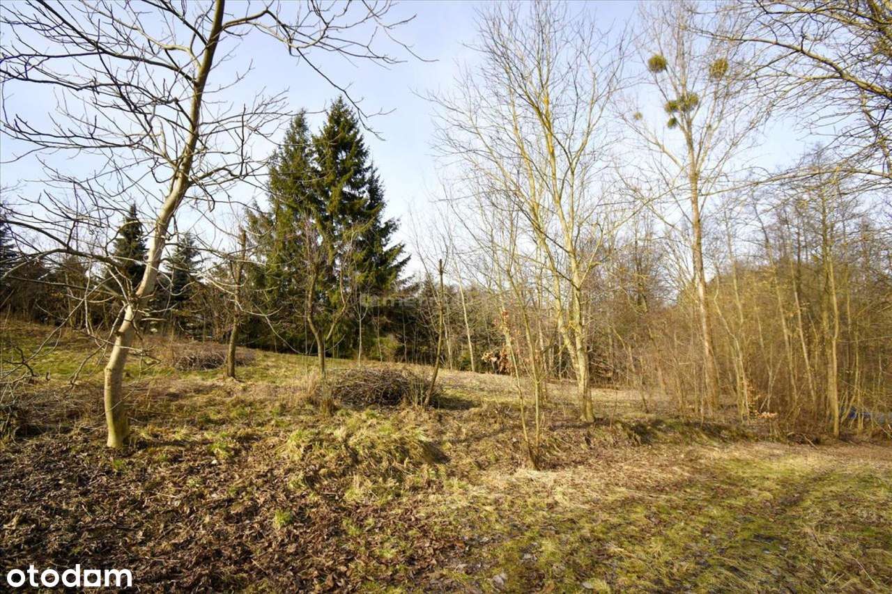 Działka budowlana- inna niż wszystkie - Pełny obrazek: 4/8