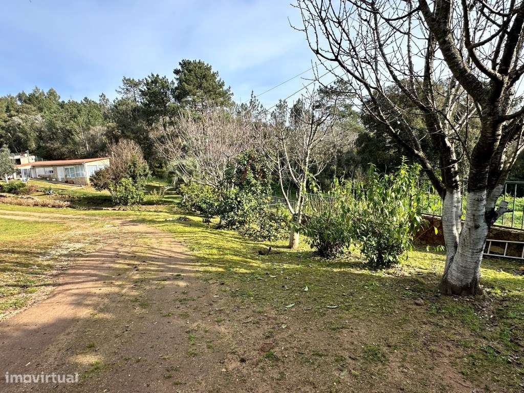 Quinta - Quintinha - Moradia-13
