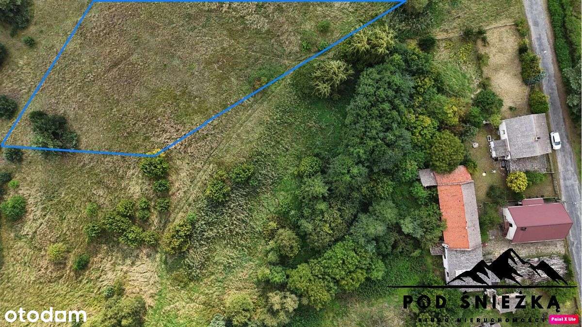 Dom z zabudowaniami- grunty 7300m2- inwestycyjne! - Pełny obrazek: 5/20