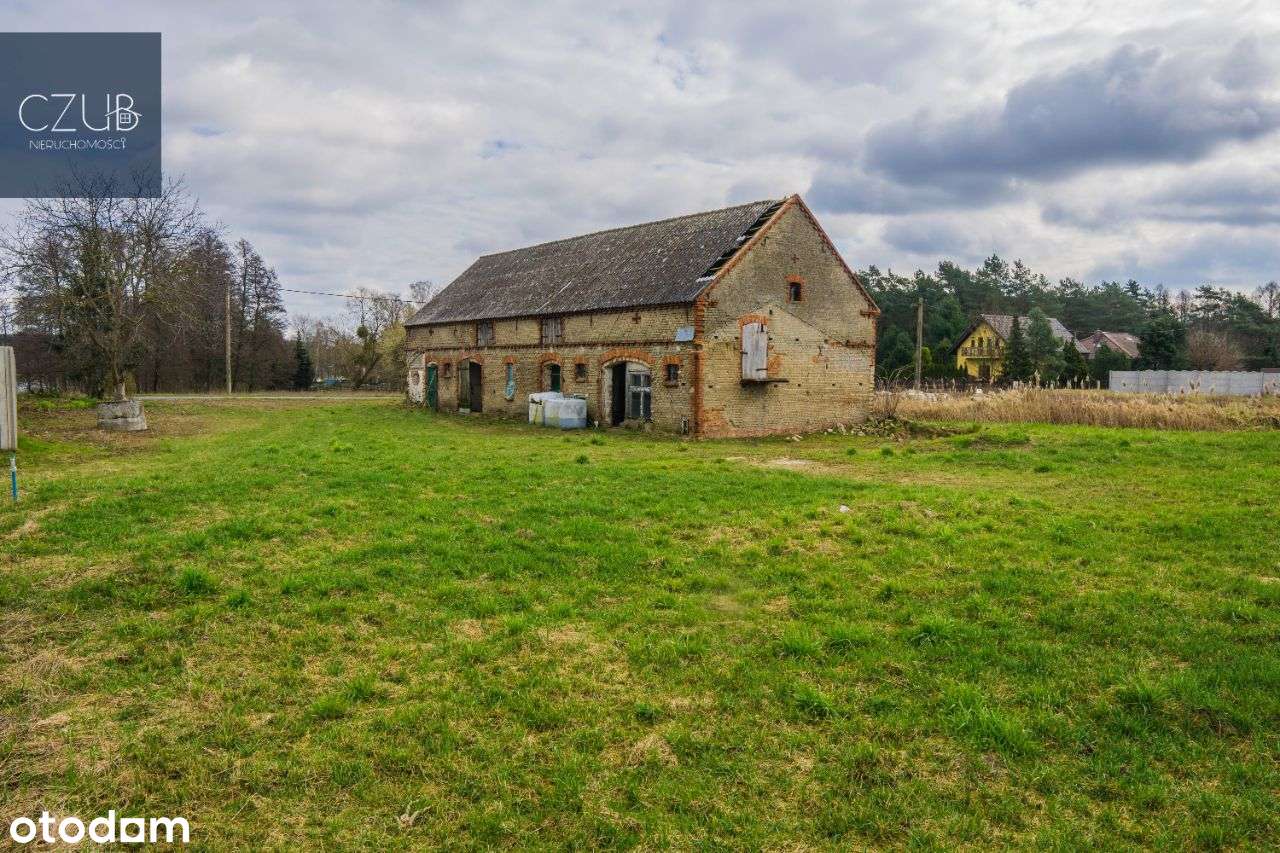 Działka z potencjałem blisko Jeziora / Zwola - Pełny obrazek: 5/9