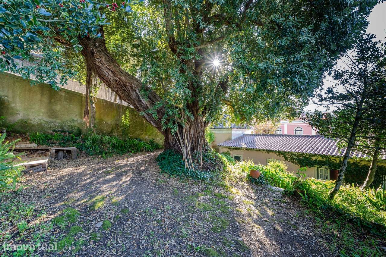 Quinta histórica no Centro de Sintra-28