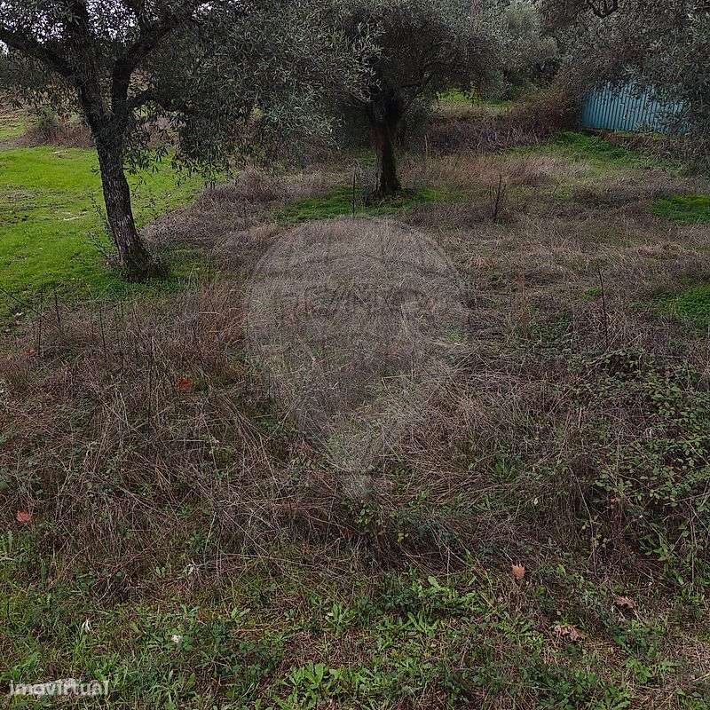 Terreno  para venda - Grande imagem: 4/11