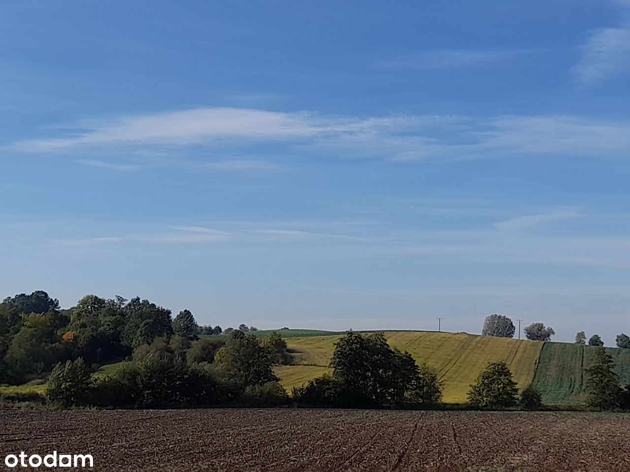 Działka rolna 3,55 ha - Pełny obrazek: 1/20
