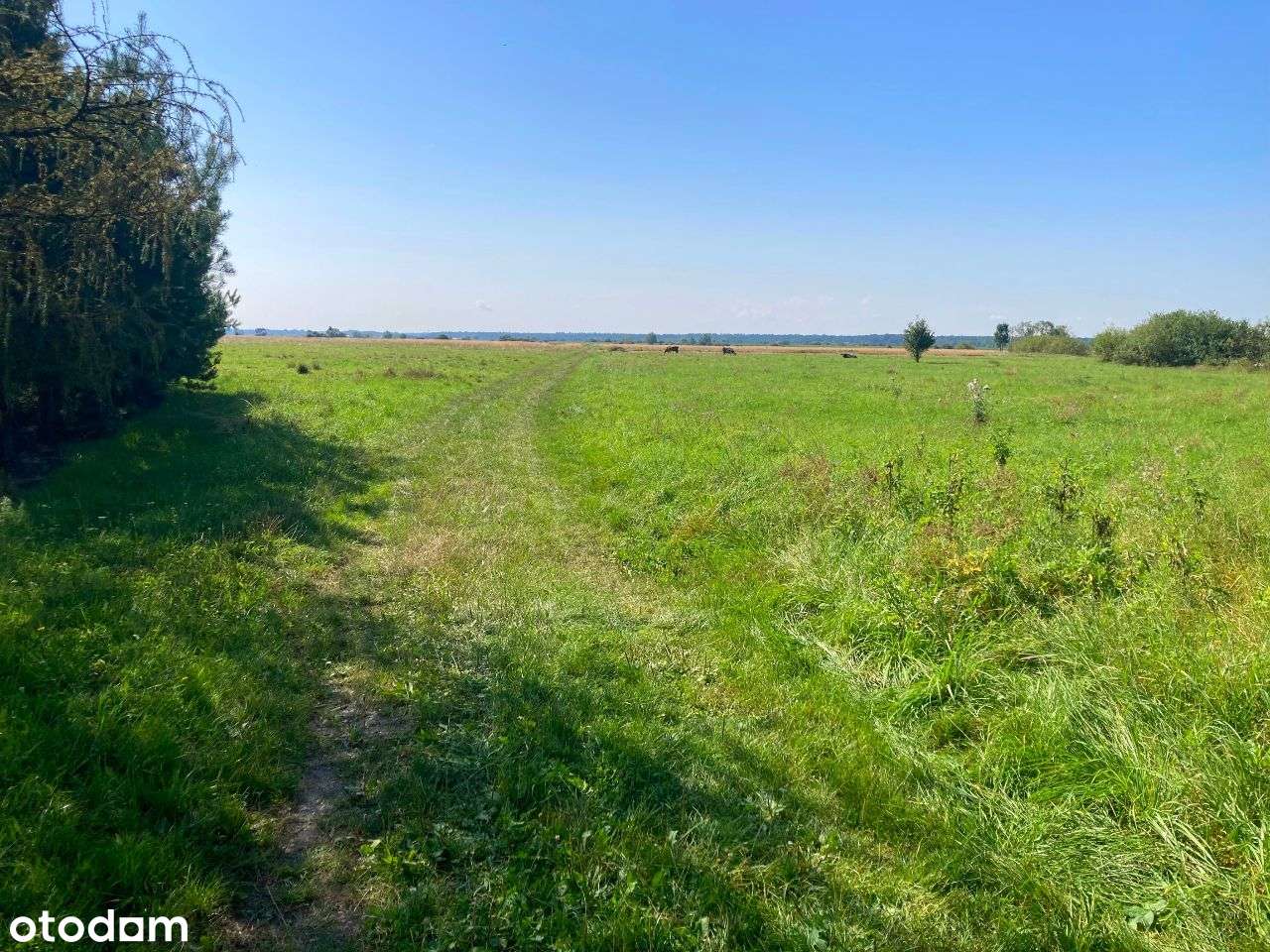 Urokliwa działka Miechowice Małe - Pełny obrazek: 4/10