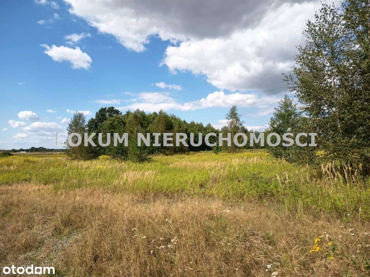 Działki Budowlane W Oleśnie, 1Km Od Centrum. - Pełny obrazek: 4/17