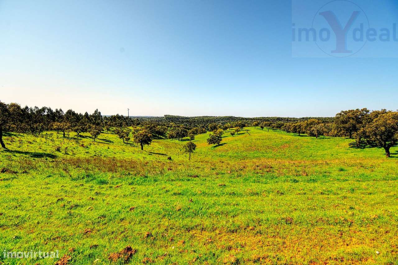 TERRENO EM S.BARTOLOMEU DA SERRA-28