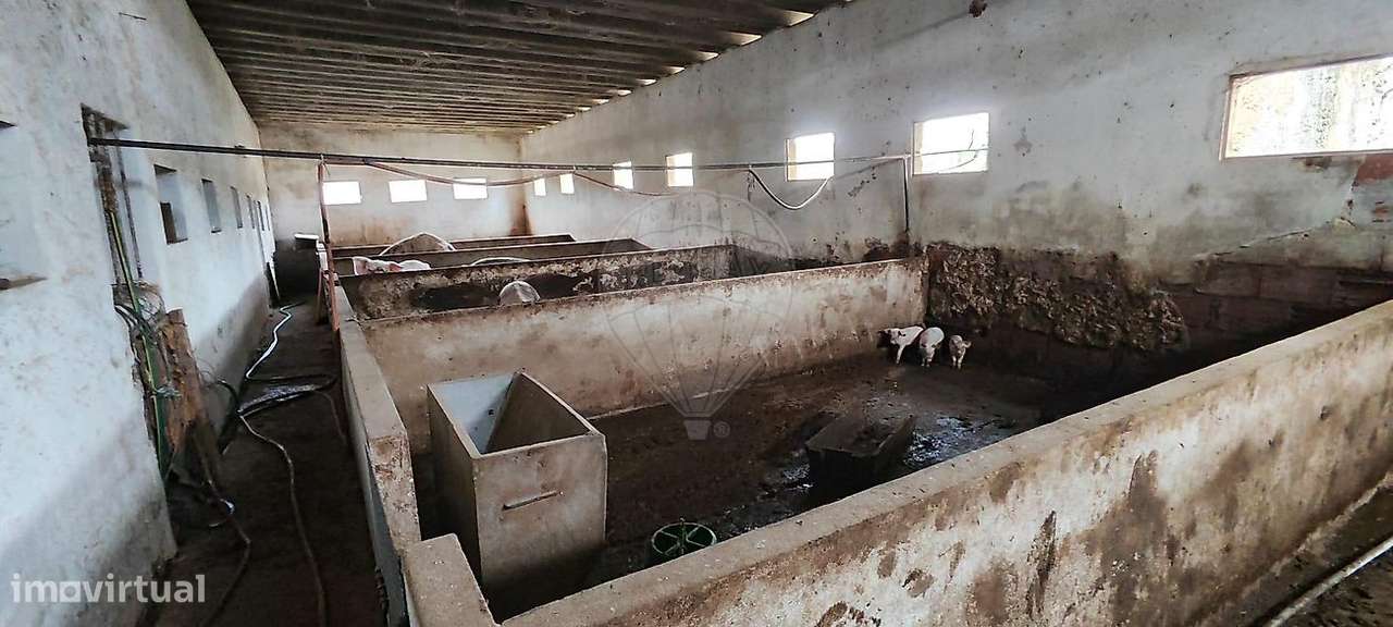 Terreno  para venda-13