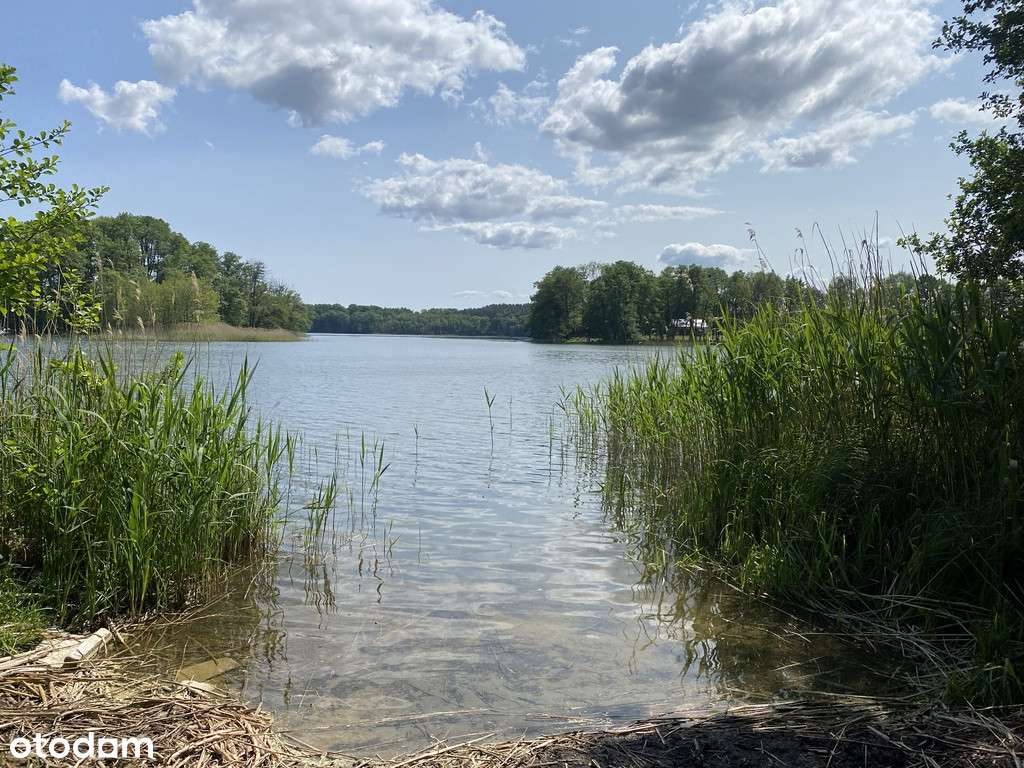 Działka na sprzedaż Przybiernów tuż przy lesie.-5