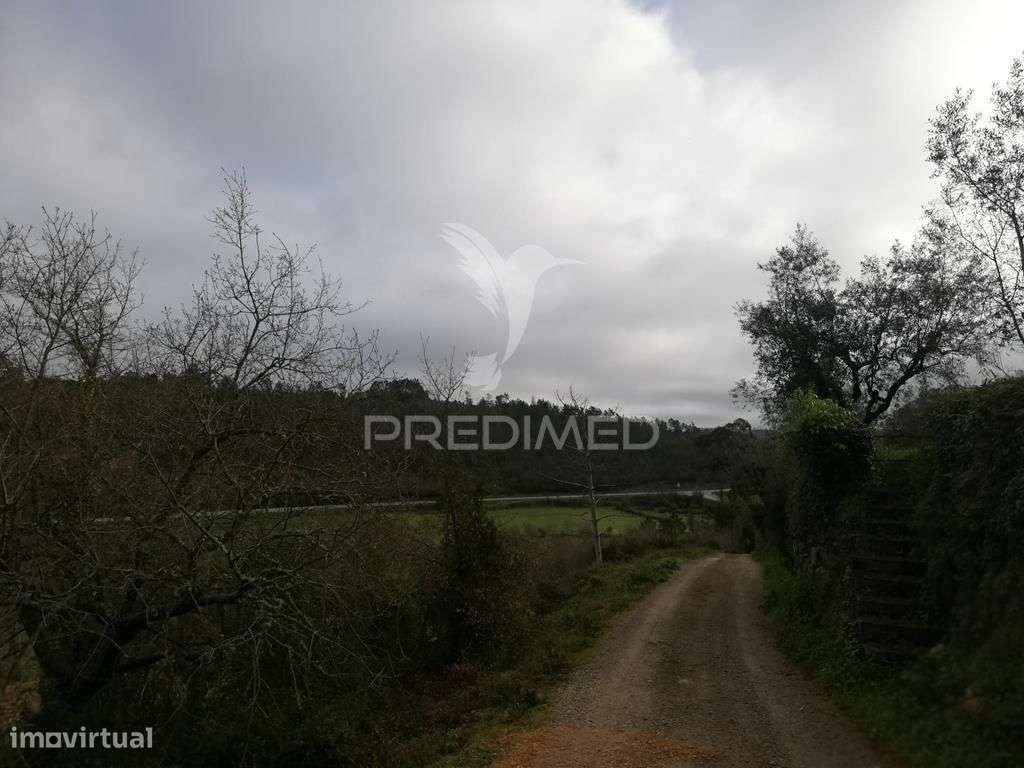Lote terreno 3 337 m2 construção- Mata- Condeixa-a-Nova - Grande imagem: 4/6