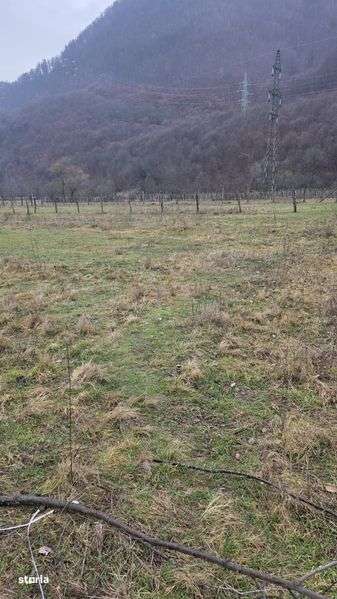 Vand teren intravilan in Pascoaia cu acces din DN  7 A - Imagine principală: 4/6