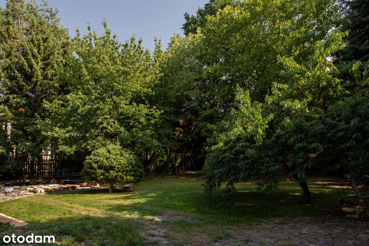 Rezydencja z klasą-17