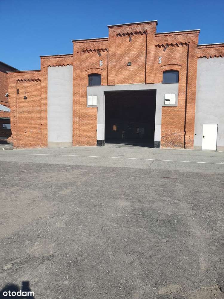NA SPRZEDAŻ: Hala magazynowa/produkcyjna  – 1446,6 m² - Lewin Brzeski - Pełny obrazek: 5/19