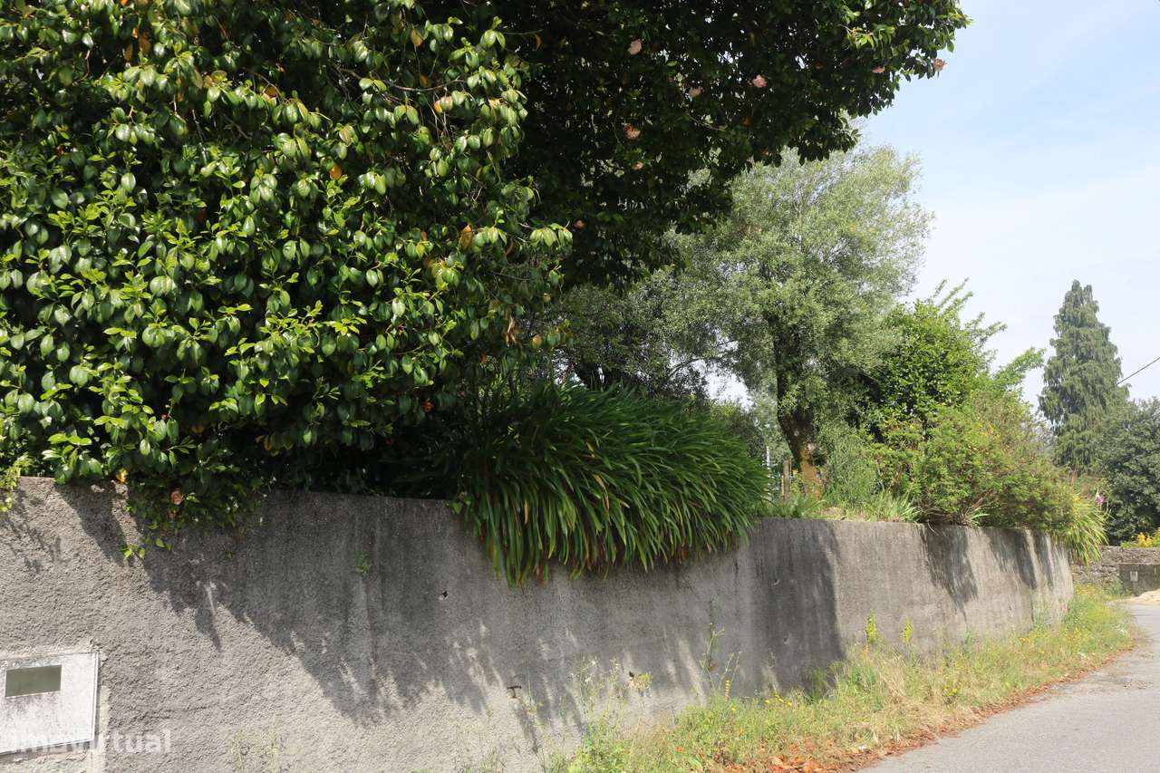 Propriedade com 5.200 m2 e moradia para restauro em V. Verde Braga.-12
