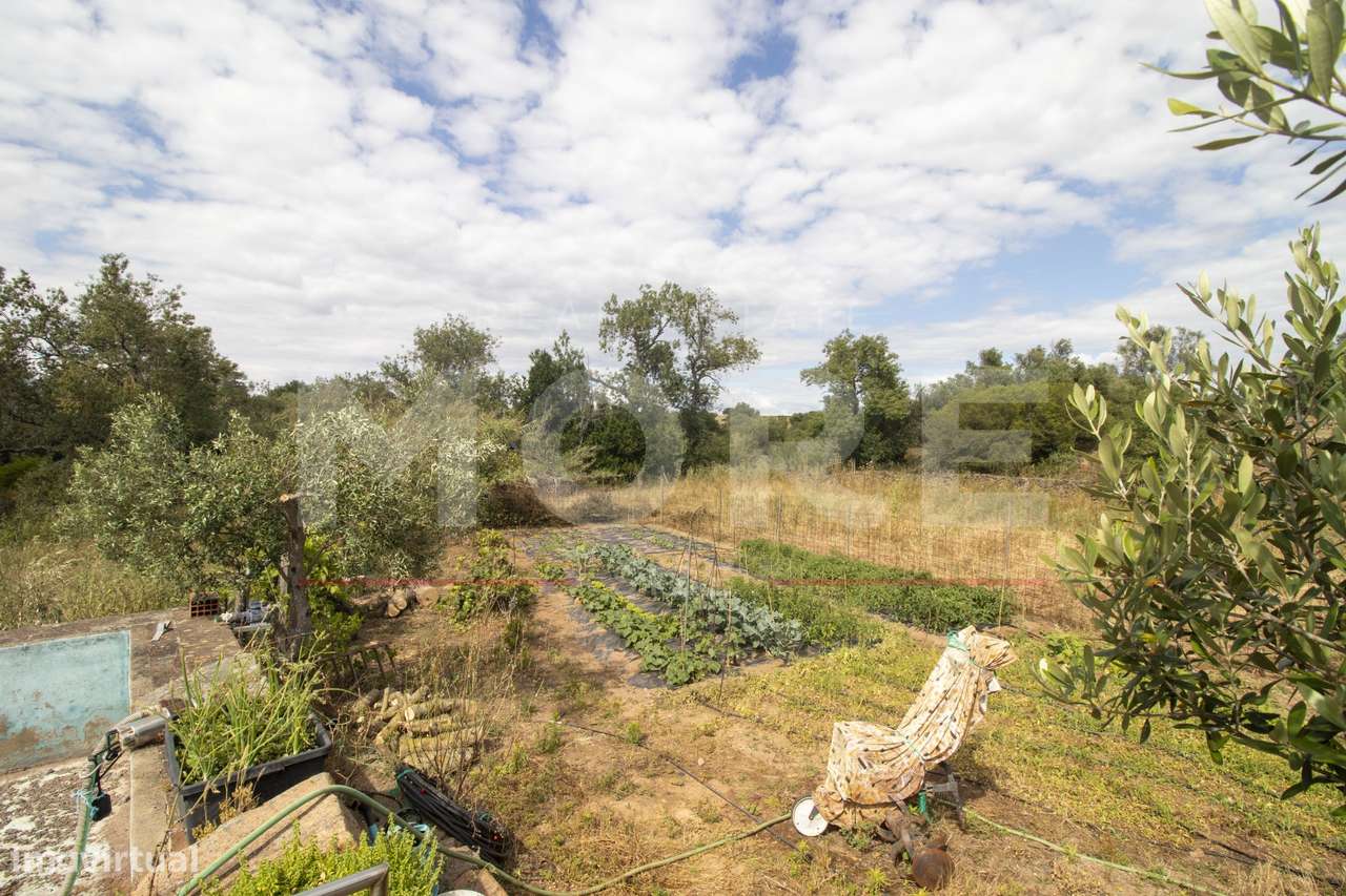 Herdade - Alvito-37