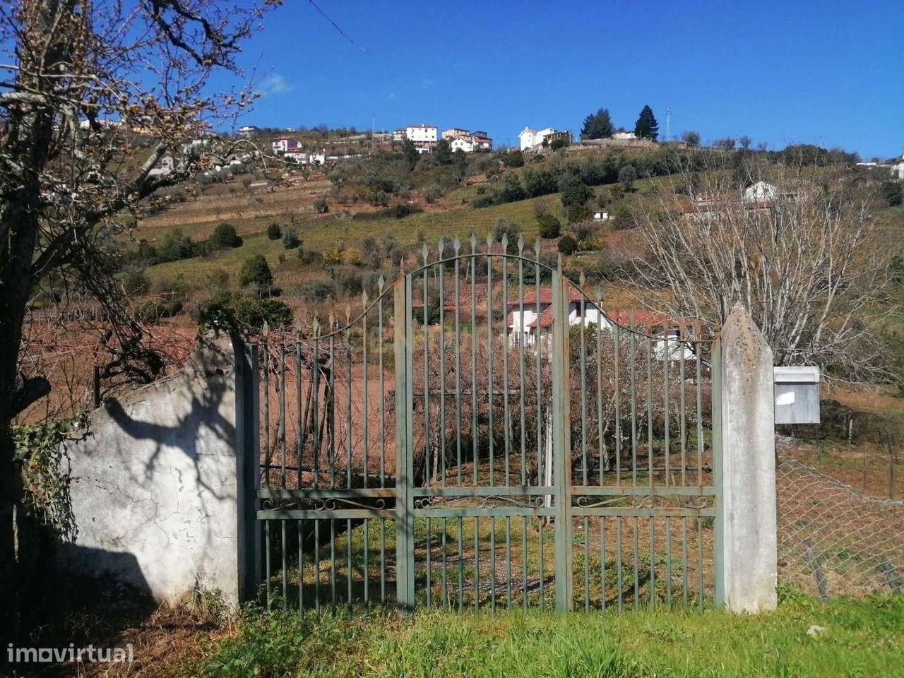 Quinta para Recuperar em Cambres, Lamego com Vista Campestre - Grande imagem: 4/18